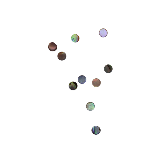 BPCFCT3 - PAUA - CIRCLE - FLAT, CLEAN BACK - OCEAN SHELL STUDIOS