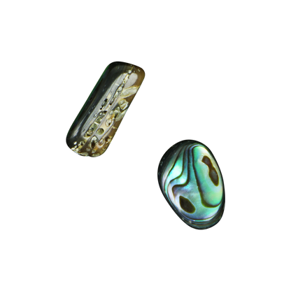 BPFL_7b7d5d68-c0eb-48d5-b8f6-a63fbfc324cb - SHELL BEAD - PAUA FREEFORM - 14MM (25 PCS) - OCEAN SHELL STUDIOS
