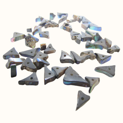 BPRT - SHELL BEAD - PAUA TRIANGLE RIM - 8MM (48PCS) - OCEAN SHELL STUDIOS