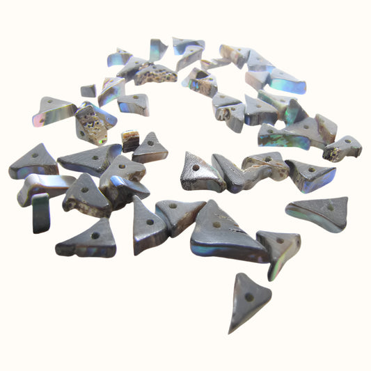 BPRT - SHELL BEAD - PAUA TRIANGLE RIM - 8MM (48PCS) - OCEAN SHELL STUDIOS