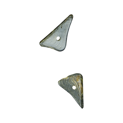 BPRT - SHELL BEAD - PAUA TRIANGLE RIM - 8MM (48PCS) - OCEAN SHELL STUDIOS