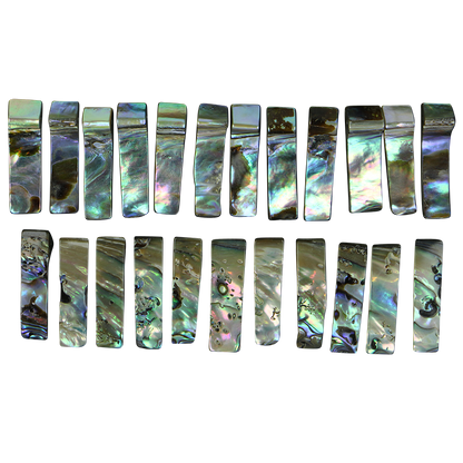 BPW_2 - SHELL BEAD - PAUA WING - 8*25MM (DOZ) - OCEAN SHELL STUDIOS