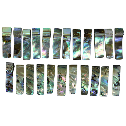 BPW_2 - SHELL BEAD - PAUA WING - 8*25MM (DOZ) - OCEAN SHELL STUDIOS