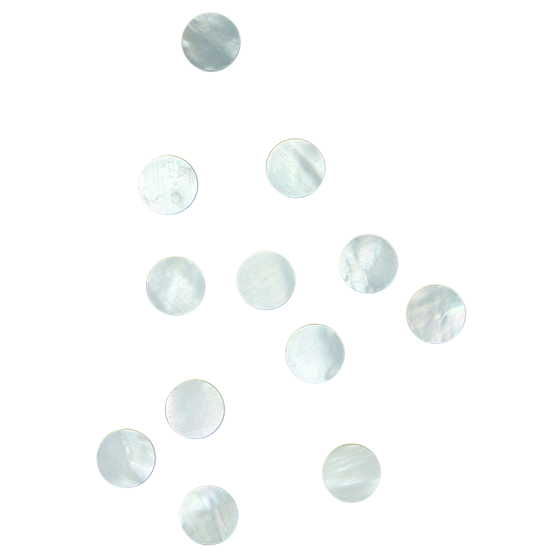 BWCFCN10 - BLANK WMOP WW - CIRCLE - FLAT, CLEAN BACK, NOT POLISHED - OCEAN SHELL STUDIOS