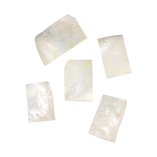 BWRCCNL - WMOP WW - RECTANGLE - NATURAL CURVE, CLEAN BACK, NOT POLISHED - OCEAN SHELL STUDIOS