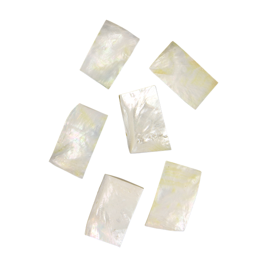 BWRCCNM_8b688bfd-32d4-4d7f-9dbe-7d0f7bd542a9 - WMOP WW - RECTANGLE - NATURAL CURVE, CLEAN BACK, NOT POLISHED - OCEAN SHELL STUDIOS