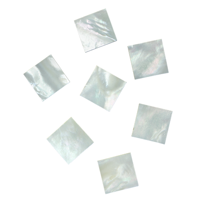 BWSFCN25 - WMOP WW - SQUARE - FLAT, CLEAN BACK, NOT POLISHED - OCEAN SHELL STUDIOS