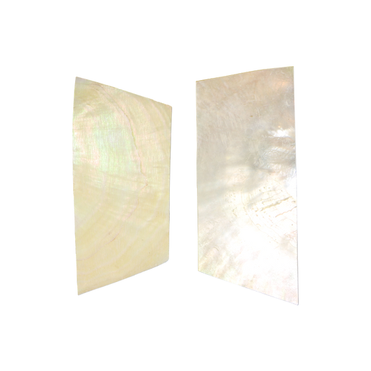 BWYRCCNL_2 - WMOP WY - RECTANGLE - NATURAL CURVE, CLEAN BACK, NOT POLISHED - OCEAN SHELL STUDIOS
