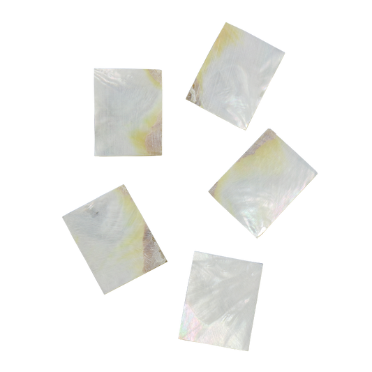 BWYRFGN40 - WMOP WY - RECTANGLE - FLAT, GROUND BACK, NOT POLISHED - OCEAN SHELL STUDIOS