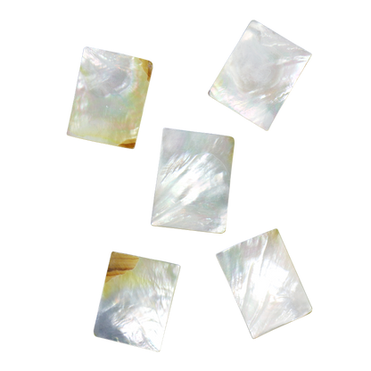 BWYRFGT40 - WMOP WY - RECTANGLE - FLAT, GROUND BACK, TUMBLED POLISHED - OCEAN SHELL STUDIOS