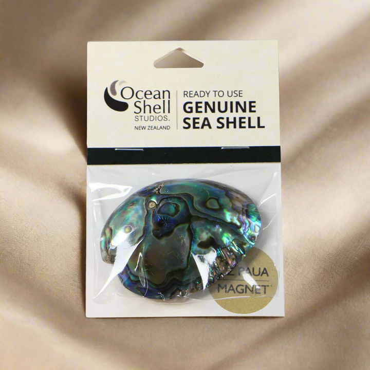 New Zealand Paua Shell | Home Decor, Souvenirs, Gifting & Display ...