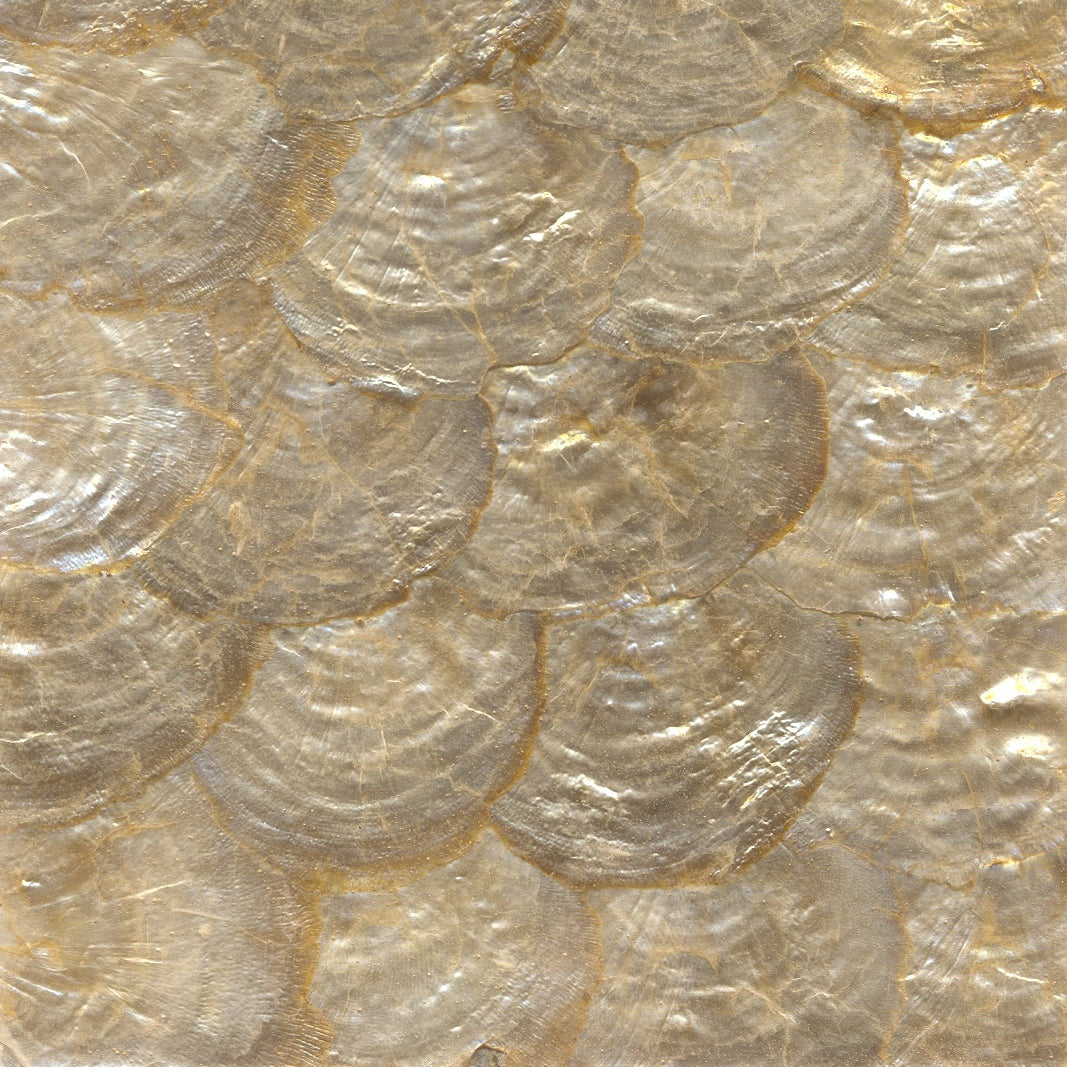 Capiz Shell Cladding SHELL VENEER COATED - CAPIZ GOLD – Ocean Shell Studios