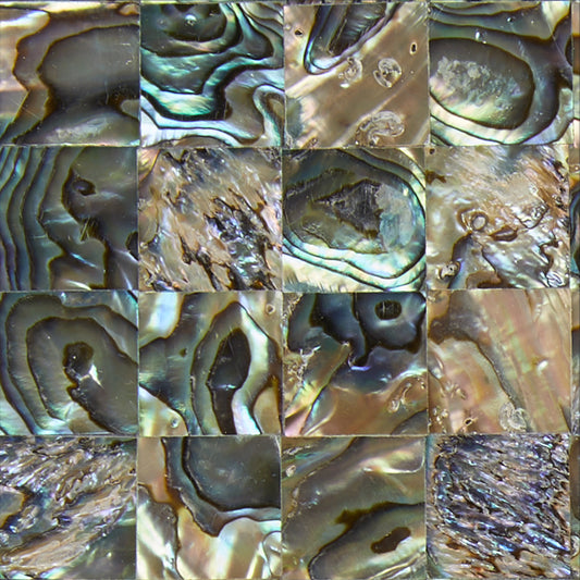 MOP802-150_2 - SOLID SHELL TILE - PAUA NATURAL - SQUARE - OCEAN SHELL STUDIOS