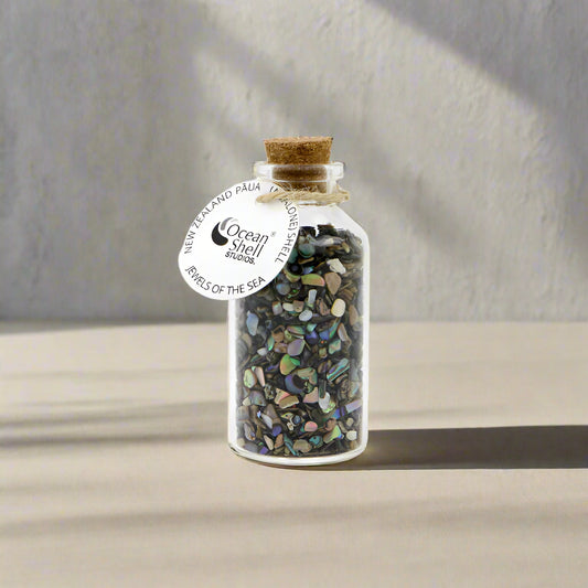 NJS - JEWELS OF THE SEA - OCEAN SHELL STUDIOS
