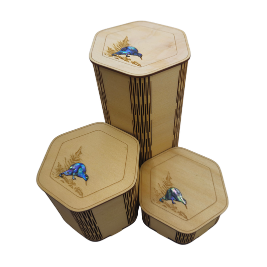 NPCKKS_5 - PAUA CURIO BOX - OCEAN SHELL STUDIOS