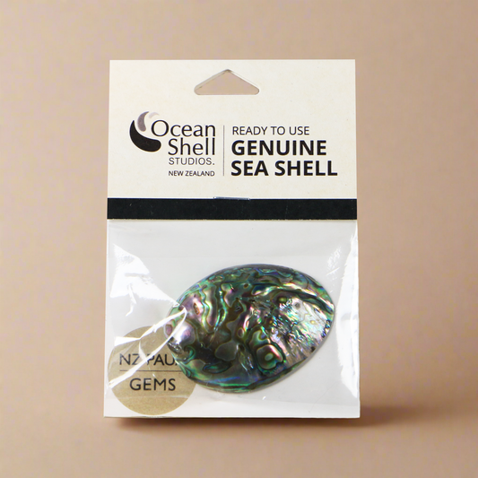 NPG1_8fe06250-cfe8-49e7-a233-4ca8a2bee359 - PAUA GEM - PACKAGED - OCEAN SHELL STUDIOS