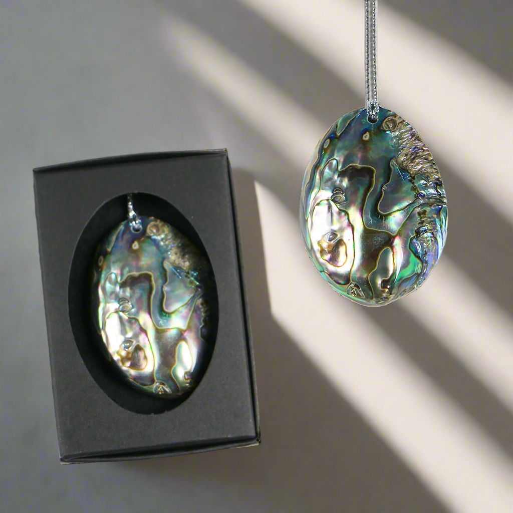 NPGDEC - PAUA GEM PAUA DECORATIONS SINGLE - OCEAN SHELL STUDIOS