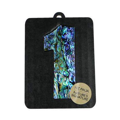 NPN1 - 1 - ONE PAUA VENEER NUMBERS - OCEAN SHELL STUDIOS