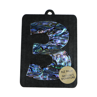 NPN3 - 3 - THREE PAUA VENEER NUMBERS - OCEAN SHELL STUDIOS