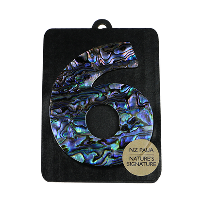 NPN6 - 6 - SIX PAUA VENEER NUMBERS - OCEAN SHELL STUDIOS