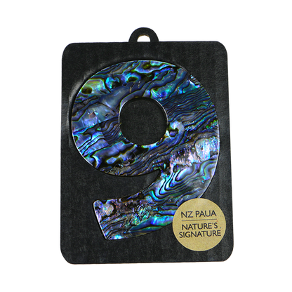 NPN9 - 9 - NINE PAUA VENEER NUMBERS - OCEAN SHELL STUDIOS