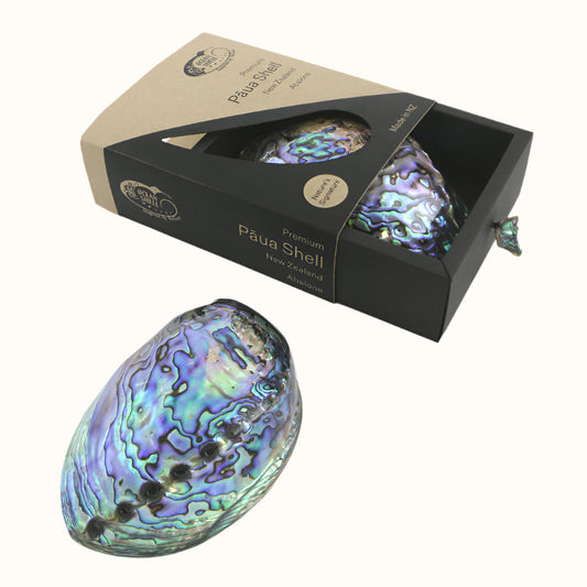 NPPB - PREMIUM PAUA SHELL GIFT BOX - OCEAN SHELL STUDIOS