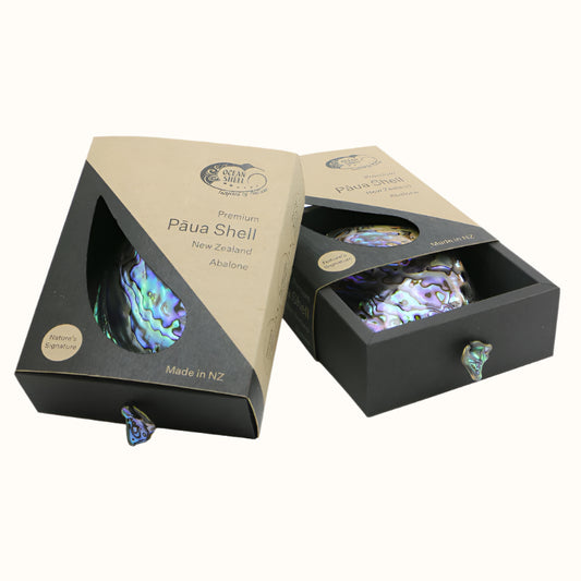 NPPB_2 - PREMIUM PAUA SHELL GIFT BOX - OCEAN SHELL STUDIOS
