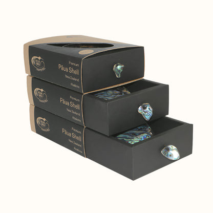 NPPB_3 - PREMIUM PAUA SHELL GIFT BOX - OCEAN SHELL STUDIOS