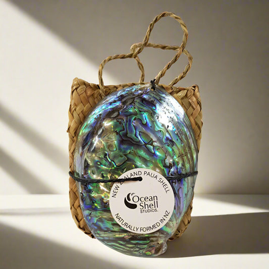 NPPSKE - PREMIUM PAUA SHELL AND KETE BAG PAUA KETE BAGS - OCEAN SHELL STUDIOS