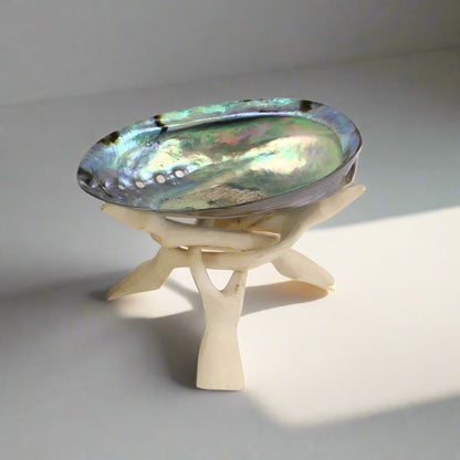 NPPWS - Polished Shell SOUL SHELL - PREMIUM NATURAL SHELL WITH STAND - OCEAN SHELL STUDIOS