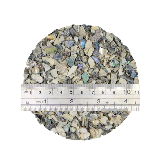 OSFAB_2 - 1kg SHELL TERRAZZO CHIP - PAUA & MOP ABALONE MIXED - OCEAN SHELL STUDIOS
