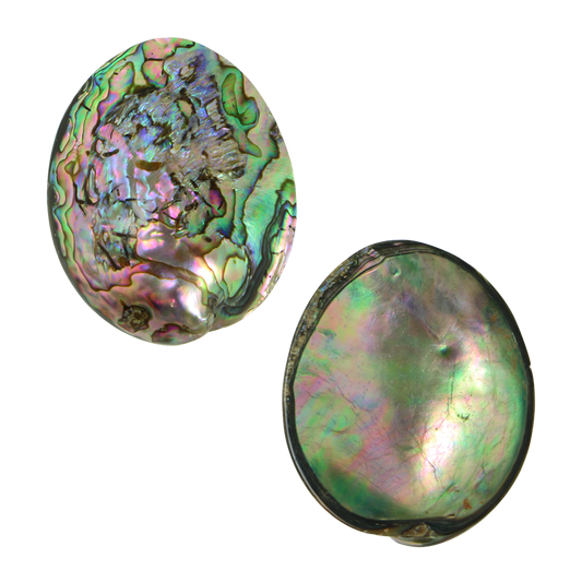 PLPGEM40 - PAUA GEM INDIVIDUAL - POLISHED - OCEAN SHELL STUDIOS