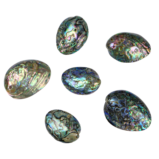 Paua_Gems - PAUA GEM INDIVIDUAL - POLISHED - OCEAN SHELL STUDIOS