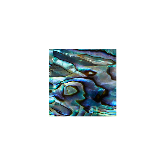 SCS25-1 - COMPOSITE SHAPES - OCEAN SHELL STUDIOS