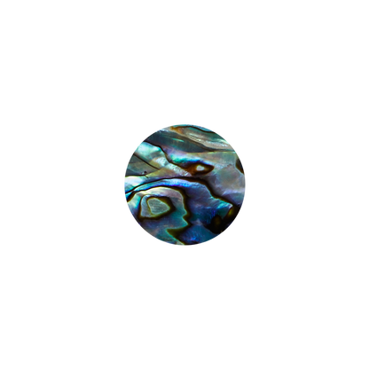 SVC20 - 20mm (15pcs) SHAPE PAUA - CIRCLE - OCEAN SHELL STUDIOS