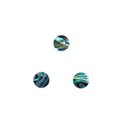 SVC8 - 8mm (60pcs) SHAPE PAUA - CIRCLE - OCEAN SHELL STUDIOS