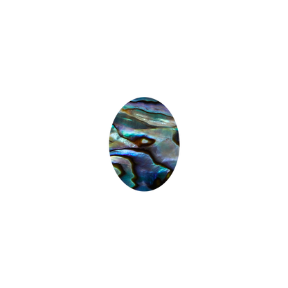 SVO15-20 - 15x20mm (15pcs) SHAPE PAUA - OVAL - OCEAN SHELL STUDIOS
