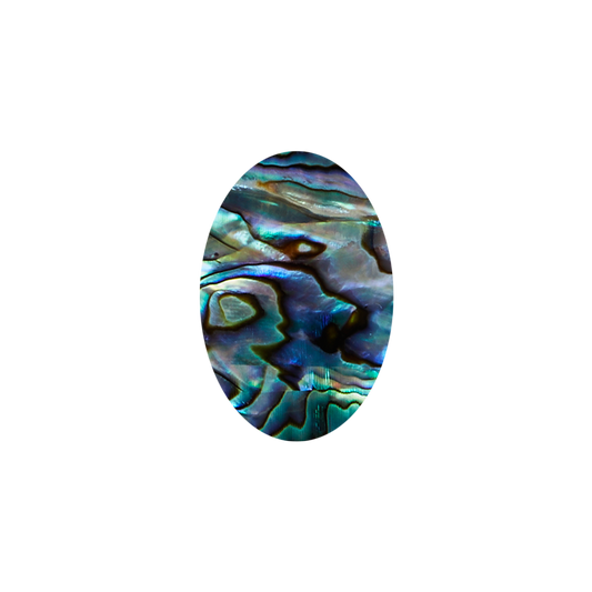 SVO20-30 - 20x30mm (15pcs) SHAPE PAUA - OVAL - OCEAN SHELL STUDIOS