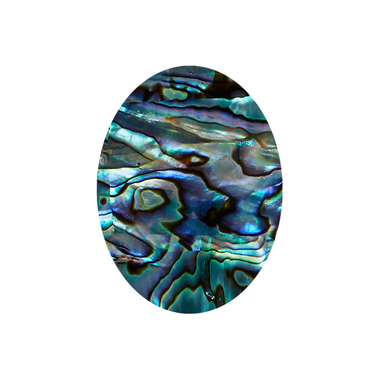 SVO30-40 - 30x40mm (15pcs) SHAPE PAUA - OVAL - OCEAN SHELL STUDIOS