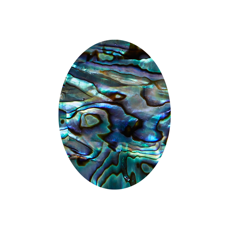 SVO30-40 - 30x40mm (15pcs) SHAPE PAUA - OVAL - OCEAN SHELL STUDIOS