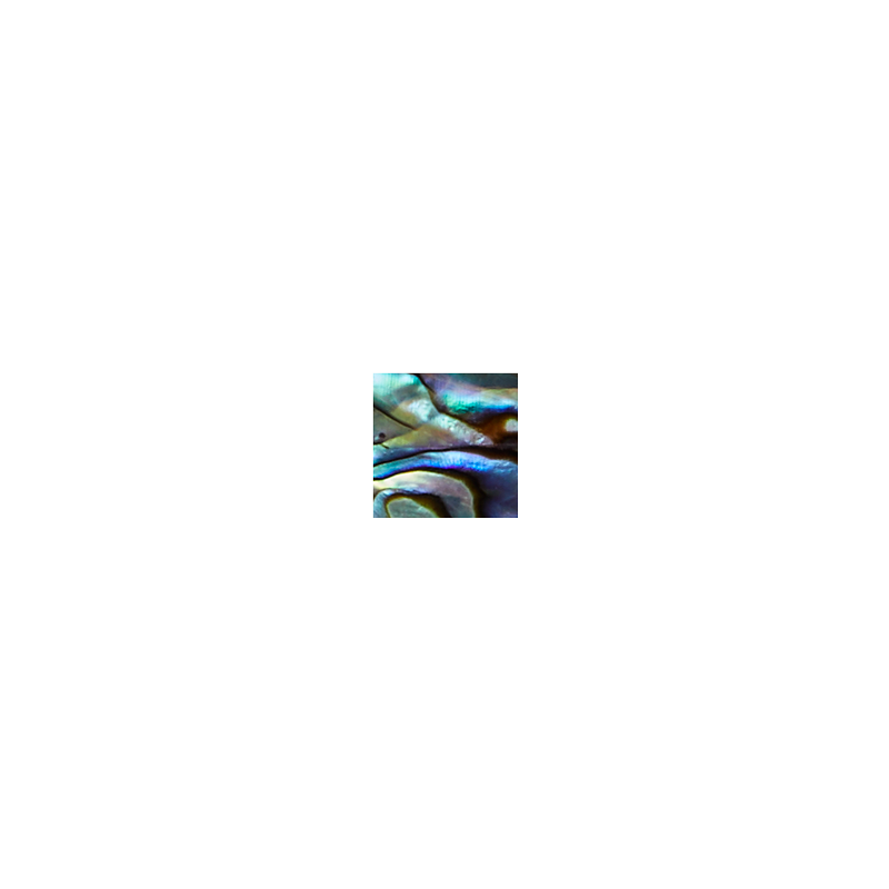 SVS10 - 10mm (30pcs) SHAPE PAUA - SQUARE - OCEAN SHELL STUDIOS