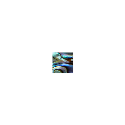 SVS10 - 10mm (30pcs) SHAPE PAUA - SQUARE - OCEAN SHELL STUDIOS