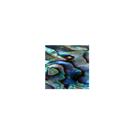 SVS20 - 20mm (30pcs) SHAPE PAUA - SQUARE - OCEAN SHELL STUDIOS