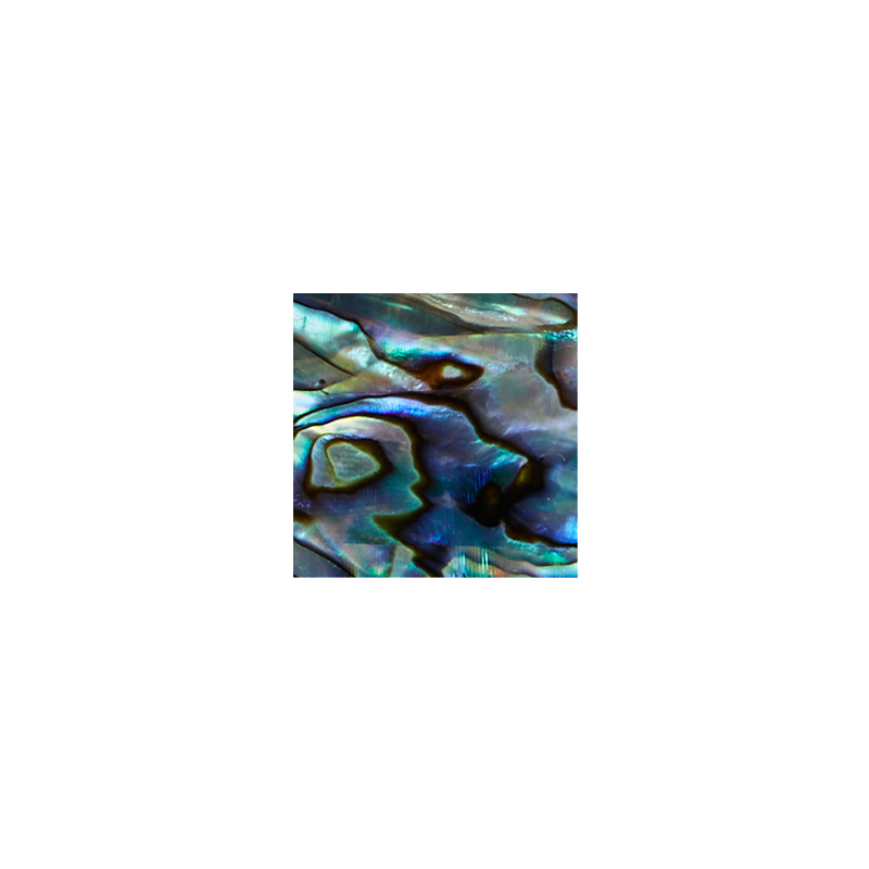 SVS20 - 20mm (30pcs) SHAPE PAUA - SQUARE - OCEAN SHELL STUDIOS