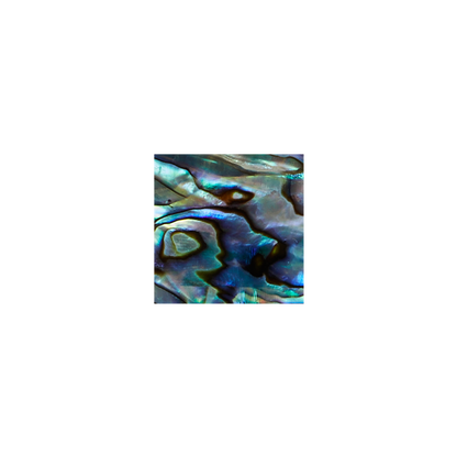 SVS20 - 20mm (30pcs) SHAPE PAUA - SQUARE - OCEAN SHELL STUDIOS