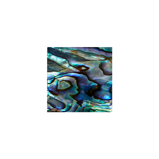 SVS25 - 25mm (15pcs) SHAPE PAUA - SQUARE - OCEAN SHELL STUDIOS