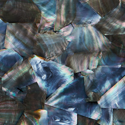 TBP - SHELL VENEER TILE BLACK MOTHER OF PEARL - OCEAN SHELL STUDIOS