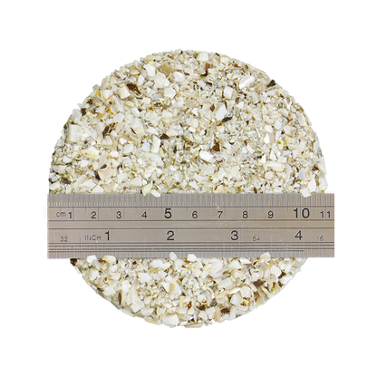 TCHF2_2 - 1kg SHELL TERRAZZO CHIP - F/W MOP - OCEAN SHELL STUDIOS