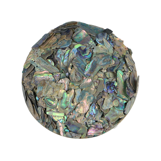 TCHP10 - SHELL TERRAZZO CHIP - PAUA - 8-12MM - OCEAN SHELL STUDIOS