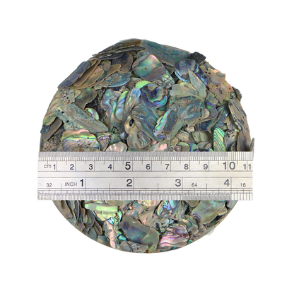 TCHP10_2 - 1kg SHELL TERRAZZO CHIP - PAUA - 8-12MM - OCEAN SHELL STUDIOS